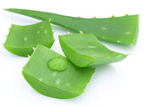 Aloe vera: Kleopatras Schönheitsgeheimnis